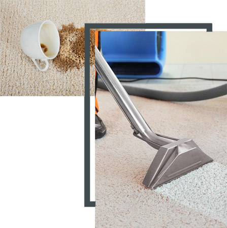 Clean Your Dirty Carpets